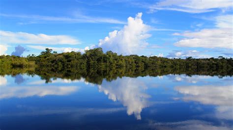Podemos perú habló sobre la necesidad de mejorar la propuesta del gabinete con guido bellido. Conservación a escala: la cuenca del río Amazonas - Revista Claves21
