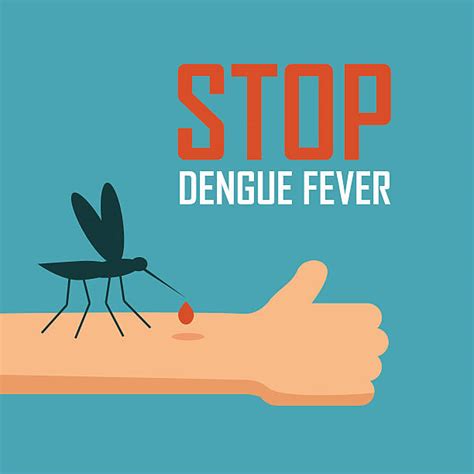 Best Dengue Fever Fever Illustrations Royalty Free Vector Graphics