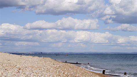 About Selsey The Seal Selsey West Sussex