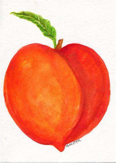 Original Watercolor Of Peaches Peach Watercolor Painting Original
