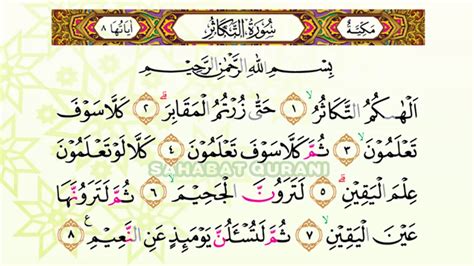 Yuk Lihat Surat Al Takatsur Dan Artinya Aamilah Murottal Quran