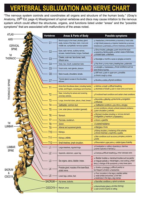 Nerve Chart Subluxation Chiropractic Care Chiropractic