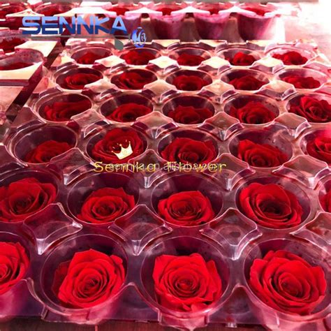 Wholesales Fresh Real Long Lasting Flower Red Preserved Roses For