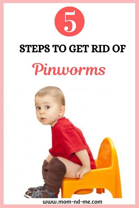 5 Easy Steps To Get Rid Of Pinworms Permanently Pinworms In Children