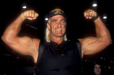 Hulk Hogan Wwe And Wcw Timeline
