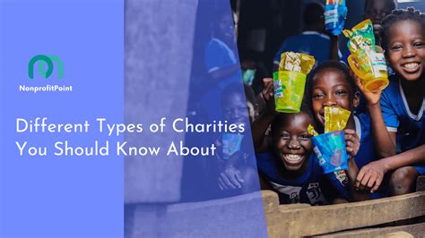 14 Different Types Of Charities You Should Know About With Examples