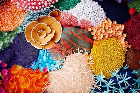 Vibrant Paper Art Sculpture Captures The Diversity Of A Coral Reef