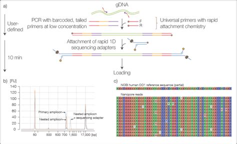 Pcr Based Pcr Free And Rapid Barcoding For Nanopore Sequencing Libraries