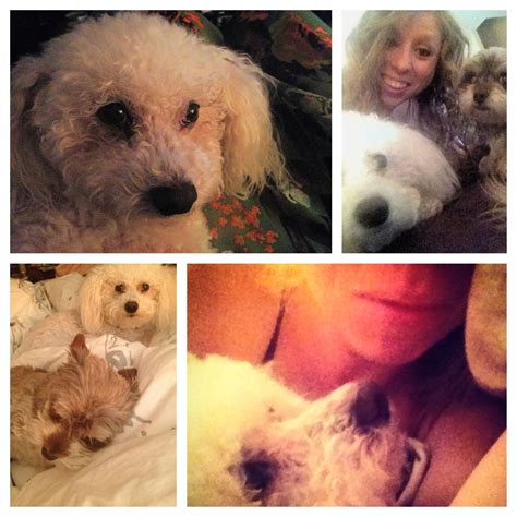 Morning cuddles with my loves Morning Cuddles, True Love, Cuddling