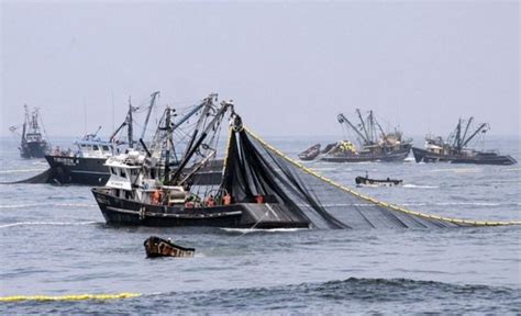 La Depredación En El Mar Argentino Y La Necesidad De Controlar La Pesca Clandestina