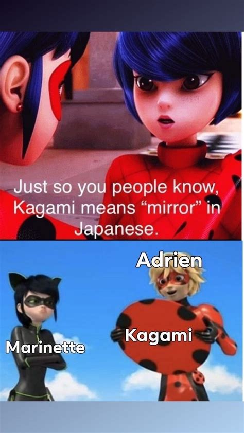 Pin On Miraculous Memesss