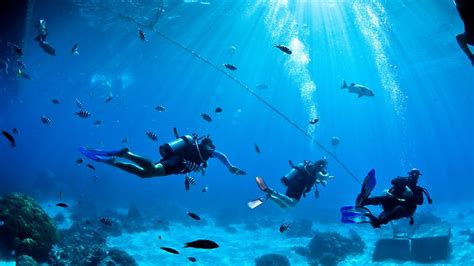 Three Scuba Divers Arrested In Egypt For Cutting Undersea Internet Cables