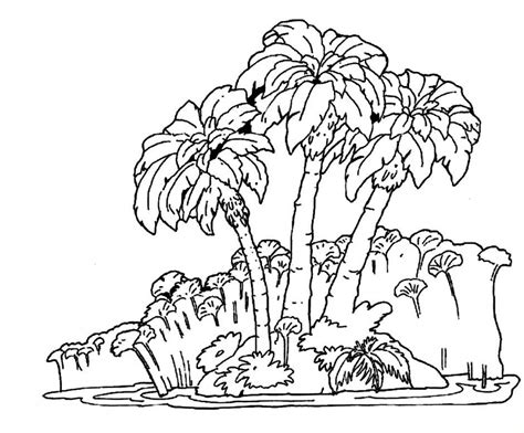 Rainforest Coloring Pages Best Coloring Pages For Kids