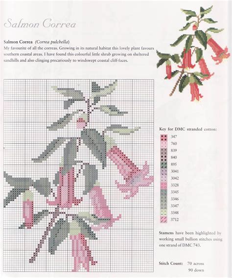 Over 19,000 patterns & kits. Aapxsgps | Diseños de punto de cruz, Punto de cruz flores ...