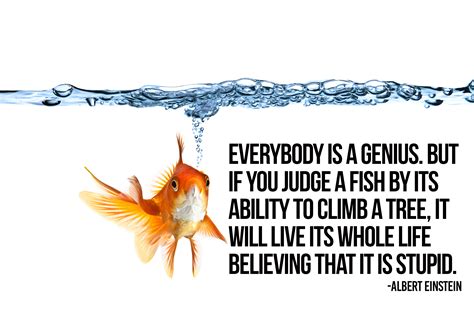 People quotes lyric quotes fish quotes. Everybody is a genius. But if you judge a fish by its ability to climb a tree | Strategy Lab ...
