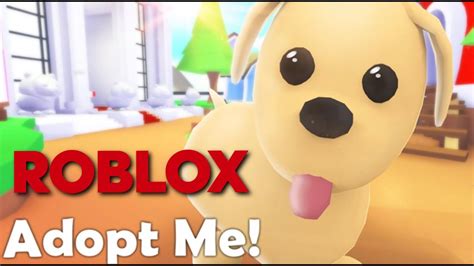 Roblox Adopt Me Oynuyoruz 🐶🐹🐯🐰 Youtube