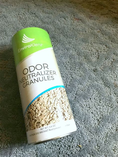 Start with the bulk of the mess first. How To Clean Throw Up Smell Out Of Carpet - Carpet Vidalondon