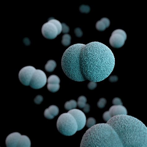 Bactéries Virus Champignons Une Seule Action Immédiate Cleanitud