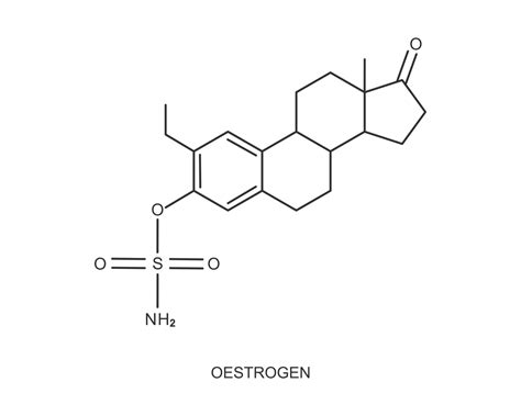 Icono De Estrógeno Estructura Molecular Química Del Estrógeno Signo De Hormona Sexual
