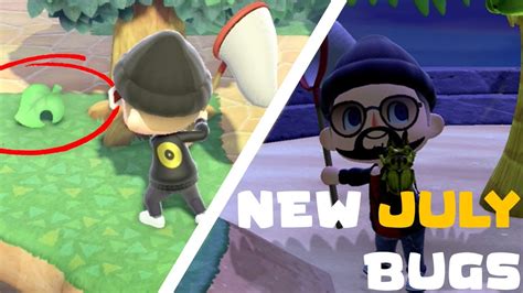 New Bugs In July Animal Crossing New Horizons Youtube