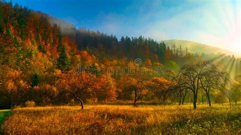 Autumn Sunrise In The Mountain Forests Of The Carpathians Stock Photo