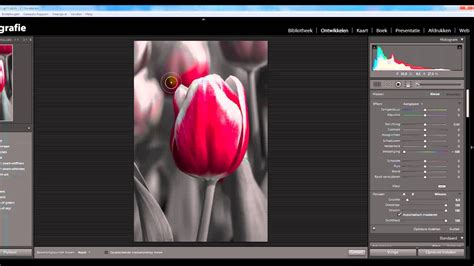 Adobe Lightroom 4 Tutorial Selectief Zwart-Wit - YouTube