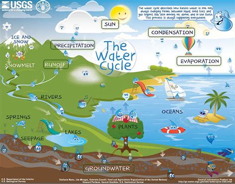 What Is The Water Cycle Lets Talk Science