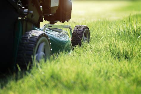 Preparing Your Lawn For Spring