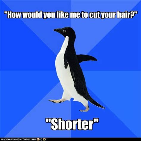 Socially Awkward Penguin Is Stylish Memebase Funny Memes