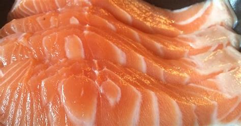 Yummy Salmon Album On Imgur