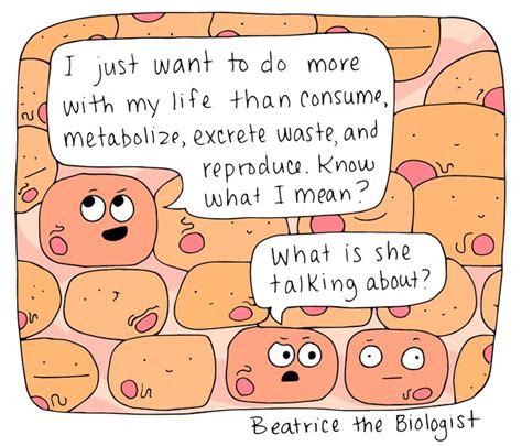 Aspirational Cells Beatrice The Biologist Biology Humor Science