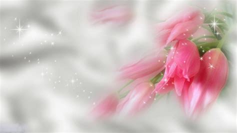 Pink Flower Desktop Wallpaper ·① Wallpapertag