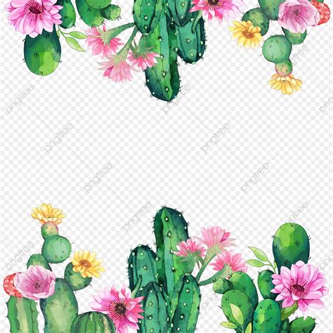 Watercolor Cactus Hd Transparent Watercolor Cactus And Flowers Border