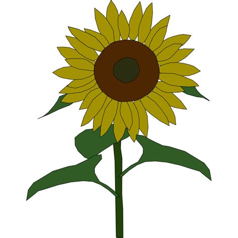 Sunflower Cartoon Svg