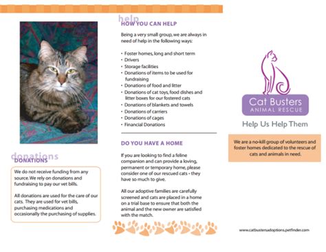 Faqs Cat Busters Animal Rescue