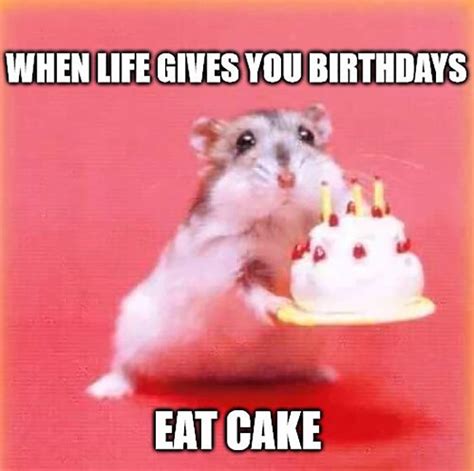 46 Awesome Birthday Cake Meme Birthday Meme