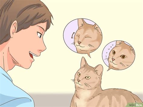Katzensprache Lernen Cat Language Cute Cats Cats