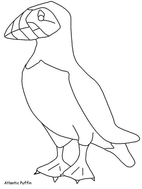 Download printable puffins coloring pages to print for free. Puffin Coloring Pages - Kidsuki