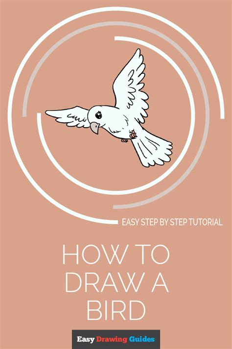 Finally, add 2 triangles for the mouth, one below the first. How to Draw a Bird | Easy Step-by-Step Drawing Guides