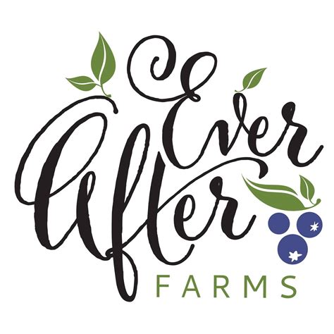 Ever After Farms Wedding Barns Mims Fl
