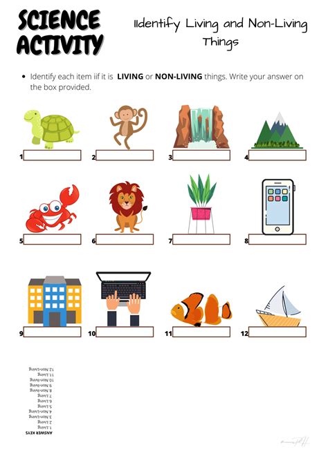 Grade 1 Science Activity Sheets | Living and Non-Living Things 1 ...