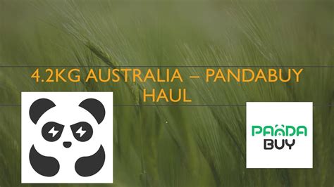 42kg Haul To Australia Pandabuy Ts Frags Foam Runners Alex