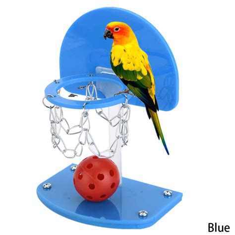 Hot Sale Size S L Plastic Mini Basketball Pet Bird Parrot Toys Toy