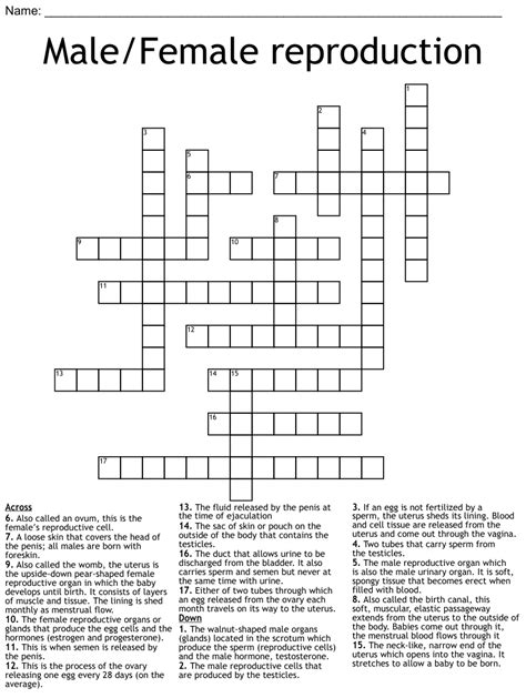 The Reproductive System Crossword Wordmint