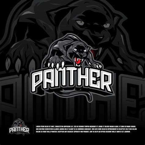 A Black Panther Mascot With The Word Panther On It