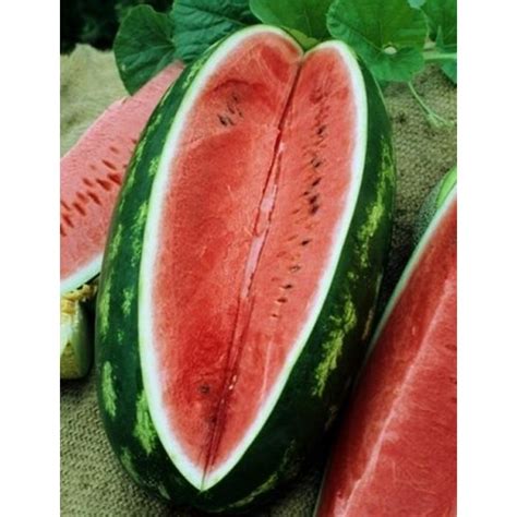Congo Watermelon Seed Organically Certified