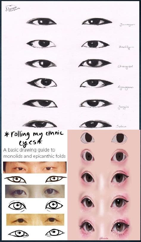 The Different Types Of Eyes And How To Draw Them
