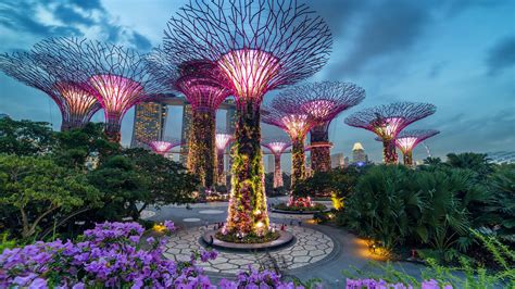 Gardens By The Bay — Park In Singapore Photos Description