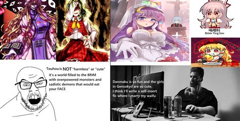 Two Kinds Of Touhou Fans Secretly Self Indulgent And Shamelessly Self