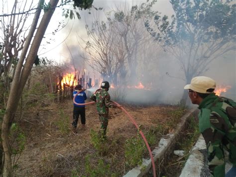 Penampakan bocils berkembang biak di gubuk oke guys. Kebakaran Hebat Landa Wilayah Sekitar Gunung Tambora ...